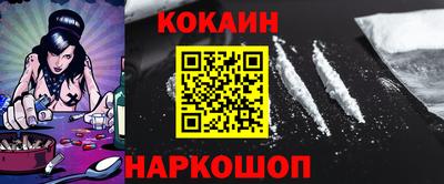 индика Камышлов