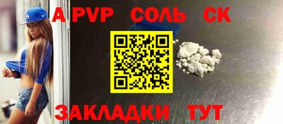 индика Камышлов