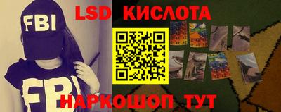 индика Камышлов