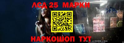 индика Камышлов