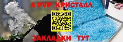 индика Камышлов