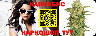 индика Камышлов
