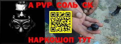 индика Камышлов