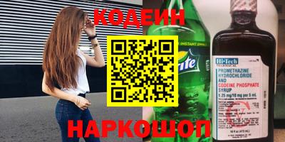 индика Камышлов