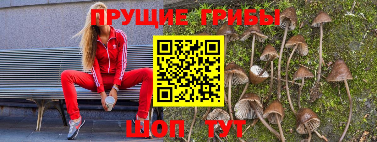Владивосток  Галлюциногенные грибы MAGIC MUSHROOMS  Галлюциногенные грибы Psilocybe  Вход с VPN 
