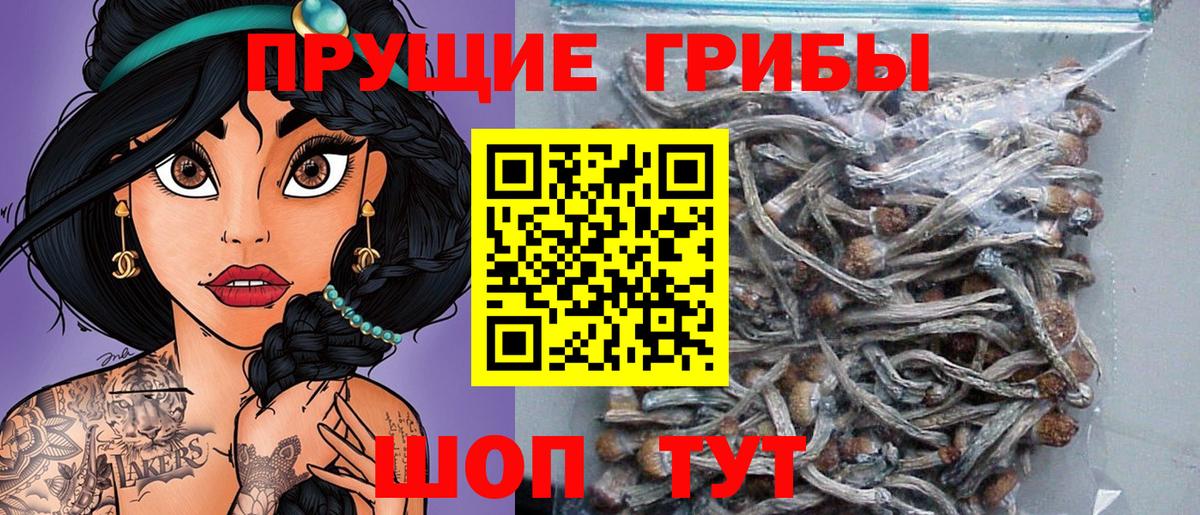 Псилоцибиновые грибы ЛСД Владивосток