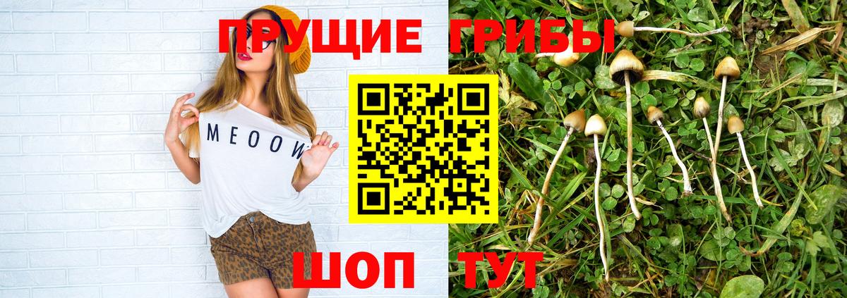 Владивосток  Бошки Шишки  А ПВП СОЛЬ   Купить наркотики  Вход с VPN  Меф   MDMA  Гашиш  Cocaine  NBOMe 